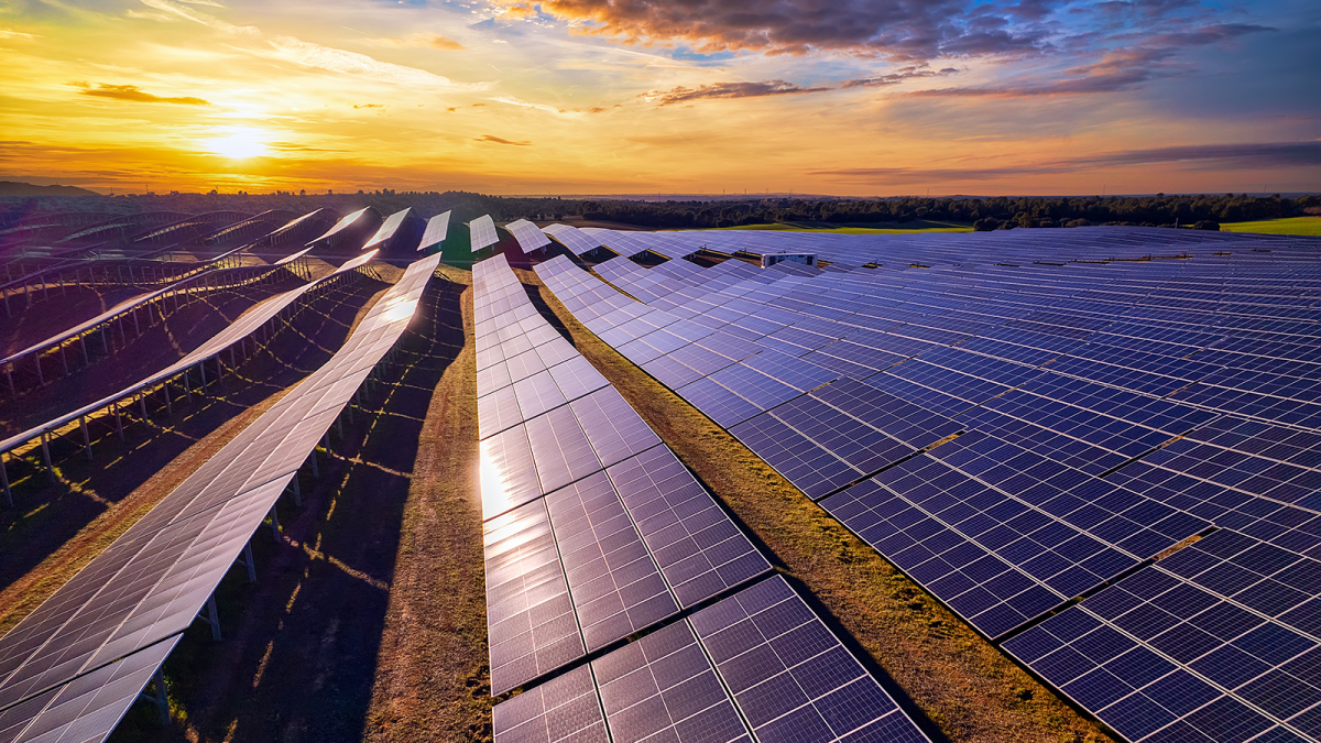 Parque solar de Zelestra.