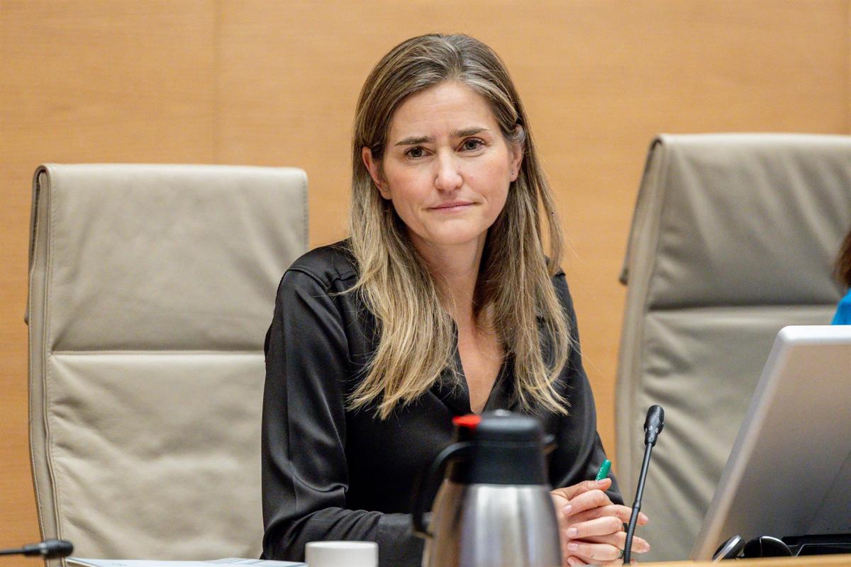 Sara Aagesen en el Congreso.