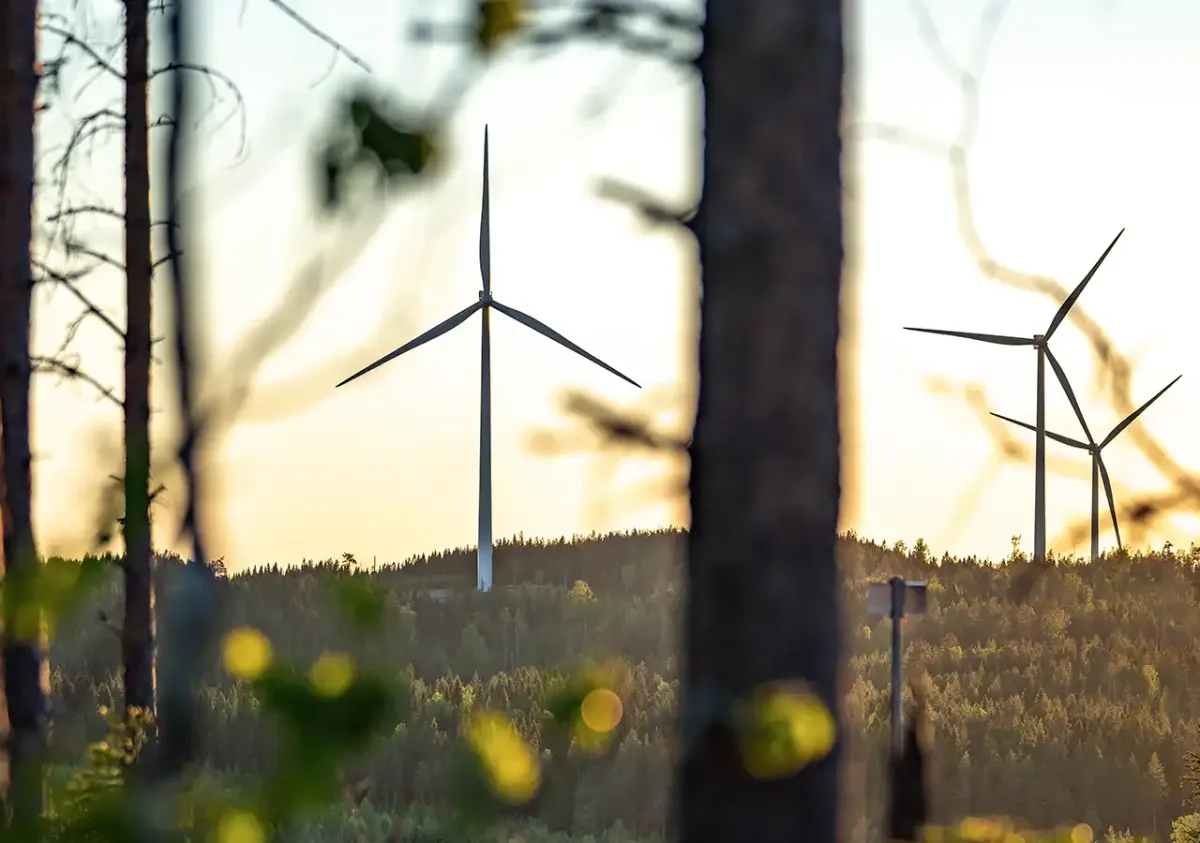 La sueca Eolus aterriza en España con un parque eólico de 224 MW junto a la central nuclear de Cofrentes