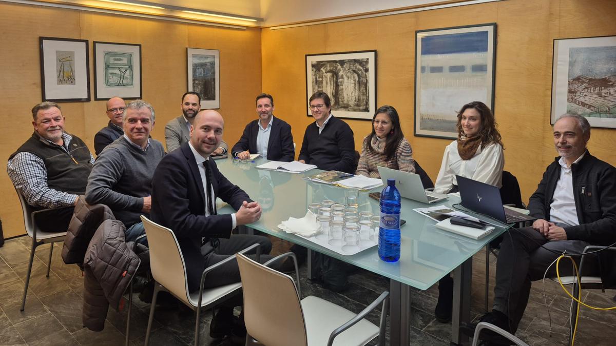 Red Eléctrica ha presentado el proyecto de instalación de baterías en la subestación de Mercada.