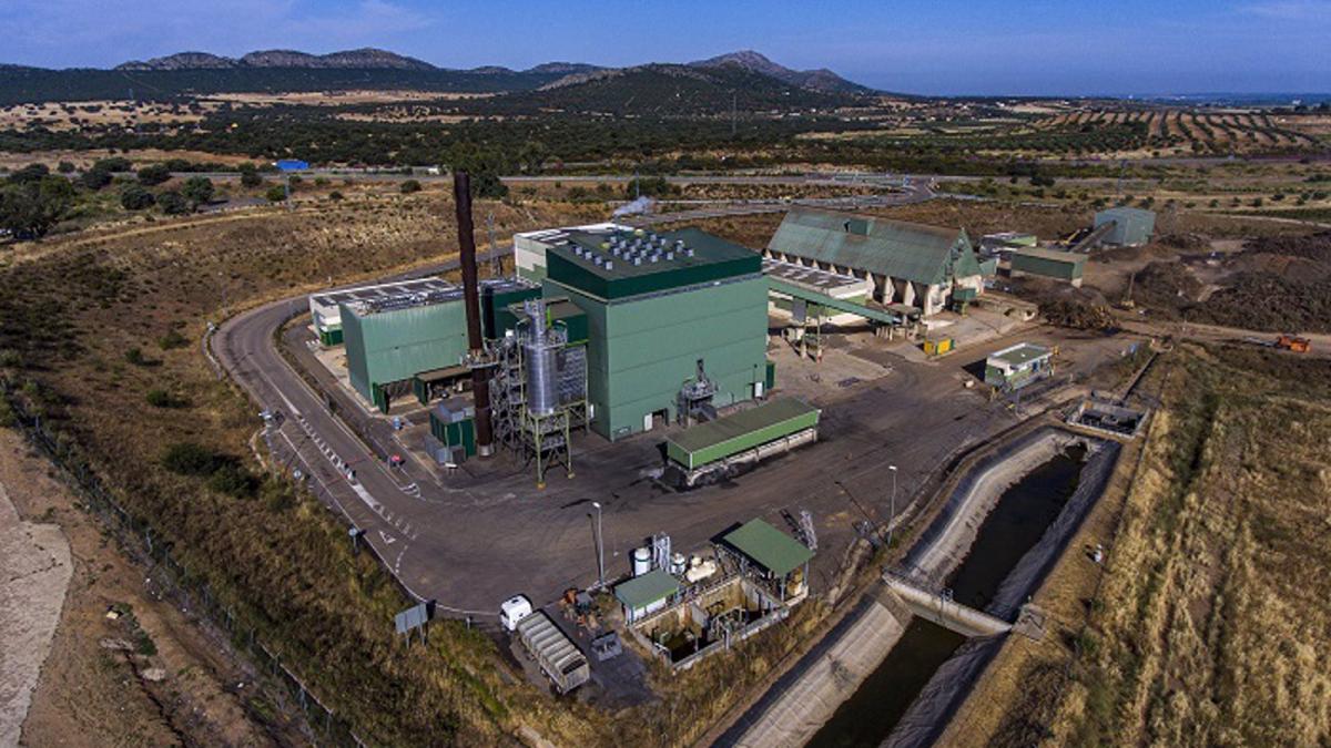 Magnon (Ence) promoverá en Mérida un proyecto destinado a la captura y valorización de CO2