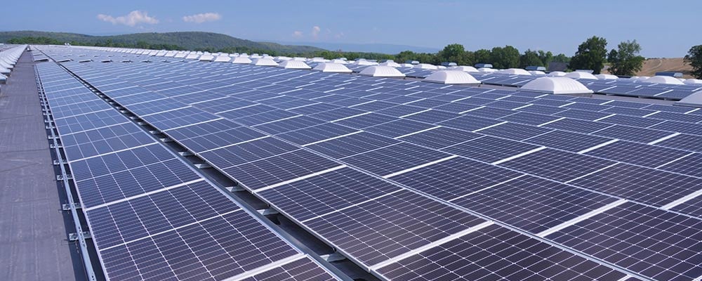 EEUU construye un récord de 1,7 GW de instalaciones solares comunitarias en 2024