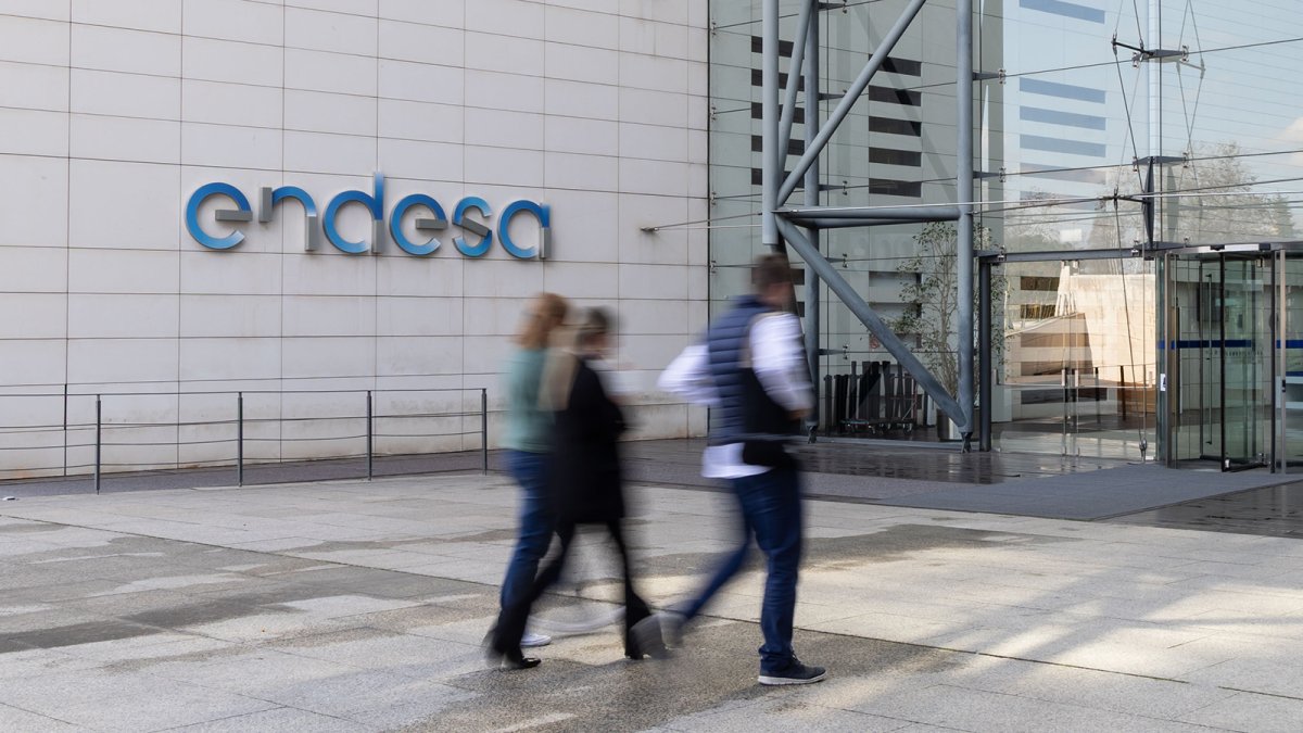 Endesa repartirá un dividendo a cuenta de 0,5 euros brutos el próximo 12 de enero