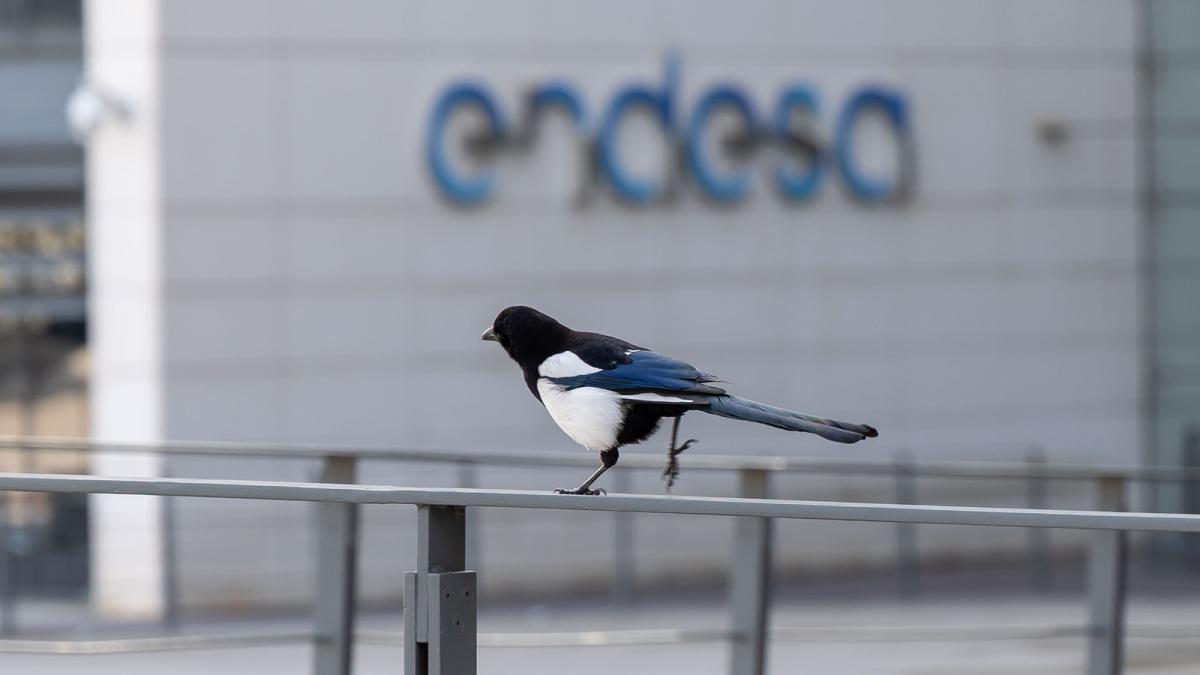 Endesa dice que la central de La Palma es la más obsoleta de Canarias y no por su voluntad