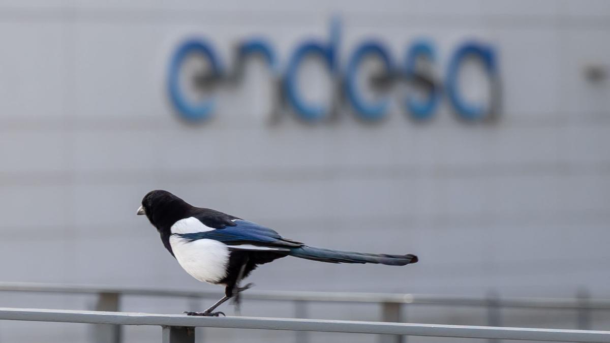 Endesa, bajo las directrices de REE, ha repuesto el suministro a más de un tercio de sus clientes
