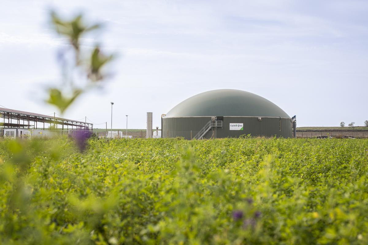 CycleØ invertirá 200 millones para construir hasta 30 plantas de biogás en España.