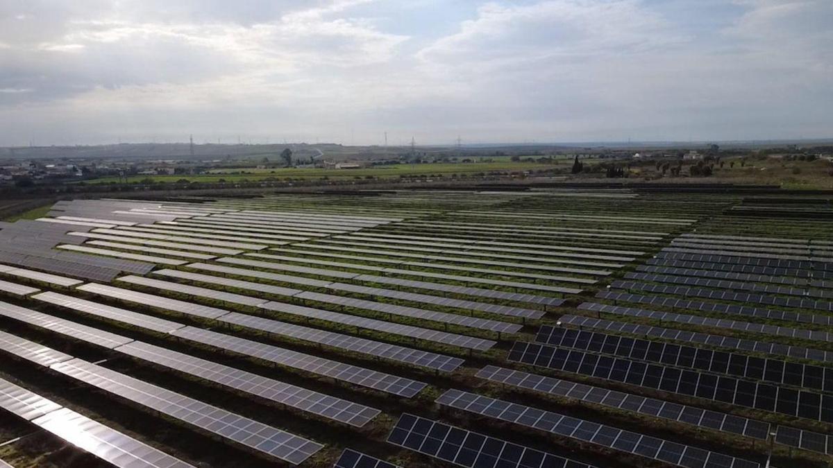 Solarig conecta a la red la planta fotovoltaica ‘Colón’ (Huelva) que suministrará energía limpia para más de 10.000 hogares