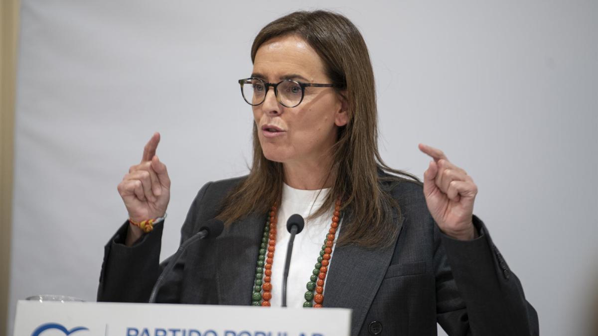 PP denuncia "falta de seguridad de la infraestructura" tras el robo de cable y responsabiliza a Transportes