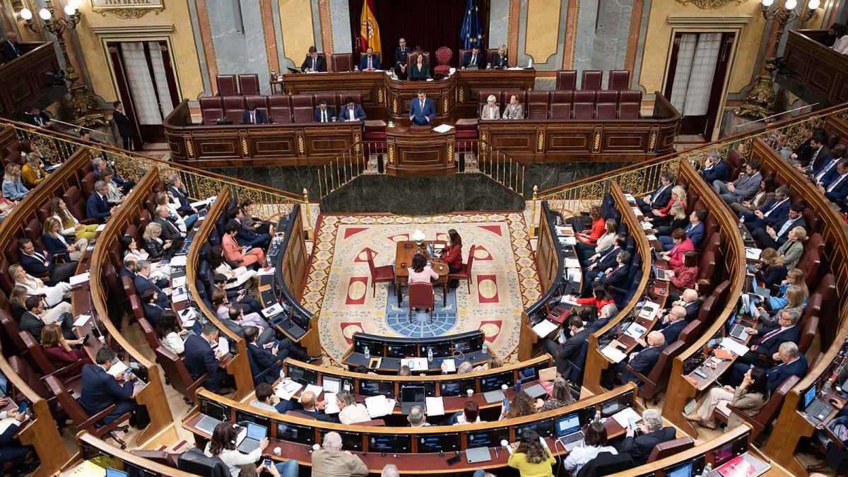 El Congreso de los Diputados debate sobre el apagón.