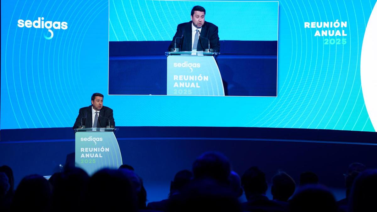 Batalla (Sedigás) cree que reducir la dependencia del gas ruso pasa por apostar por los gases renovables