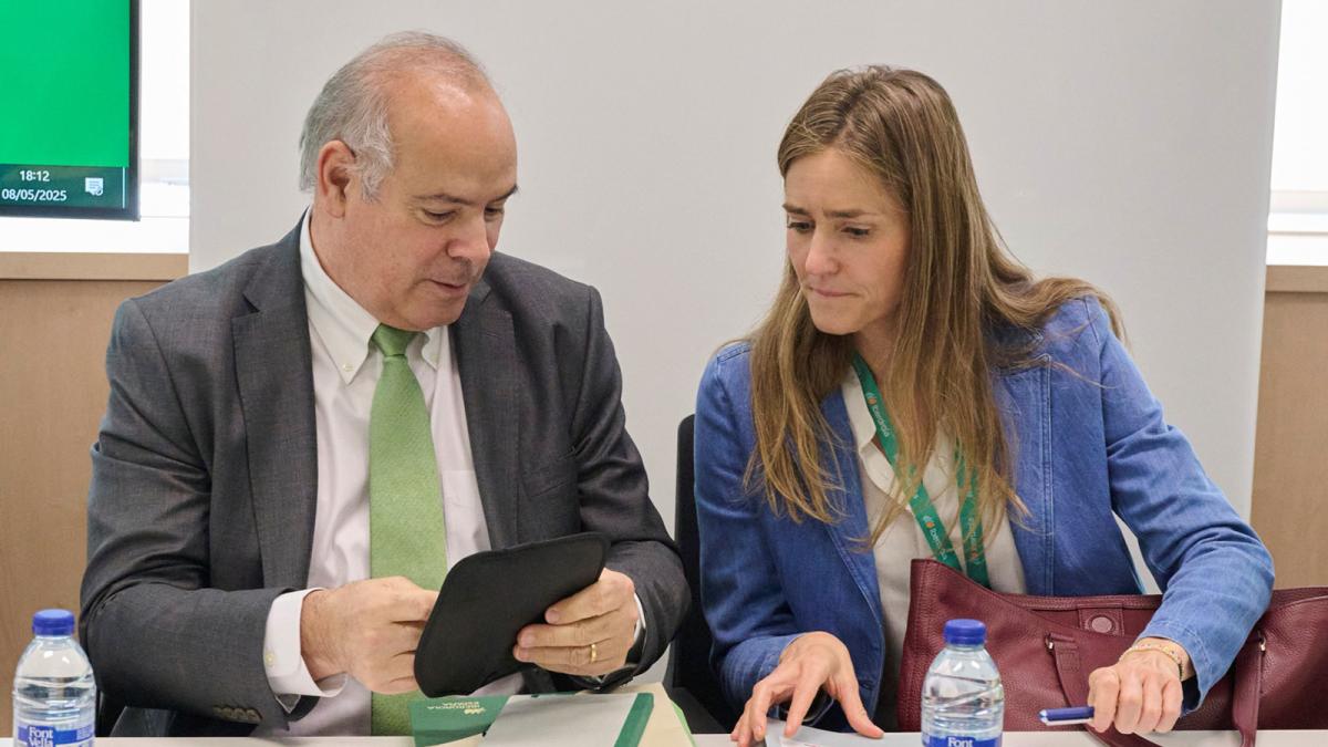 Aagesen preside la cuarta reunión del comité que analiza el apagón, con el CEO de Iberdrola invitado
