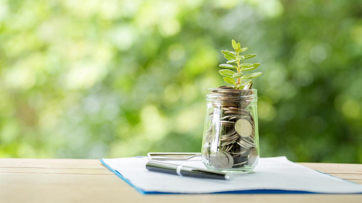 La inversión en bonos verdes del Banco de España supone el 8% de cartera de activos en euros