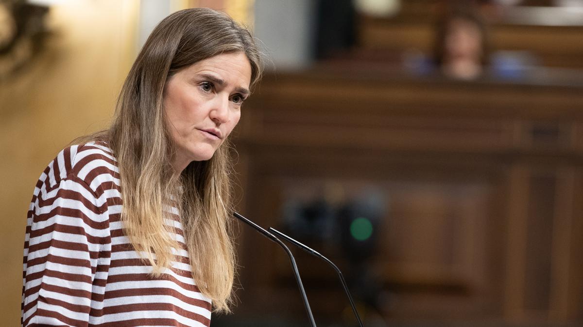 El Gobierno niega dar instrucciones a Red Eléctrica en búsqueda de un récord de renovables