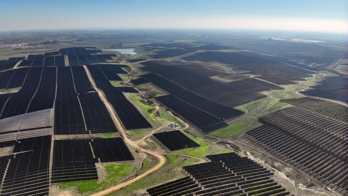 TotalEnergies planta cara al parón fotovoltaico e inaugura su mayor complejo en Sevilla