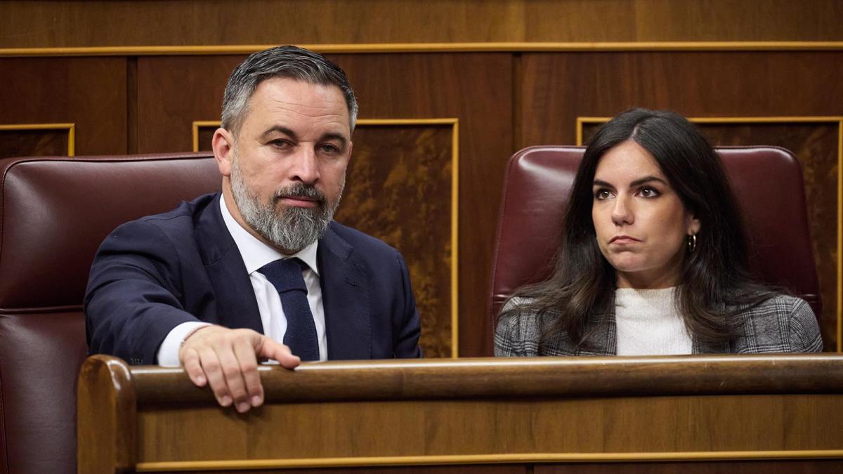 El Gobierno veta una ley de Vox para suprimir 1.800 millones en impuestos a la producción eléctrica y nuclear