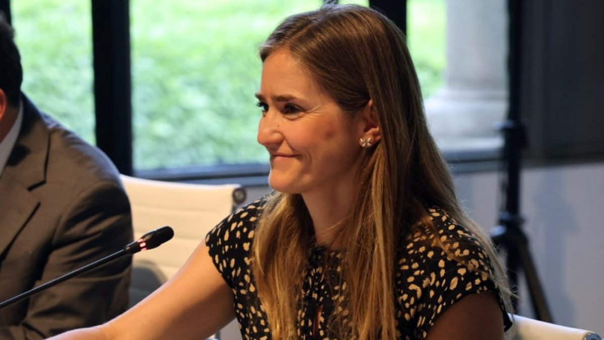 Los expertos internacionales piden al Gobierno recabar más información de las eléctricas para la investigación del apagón