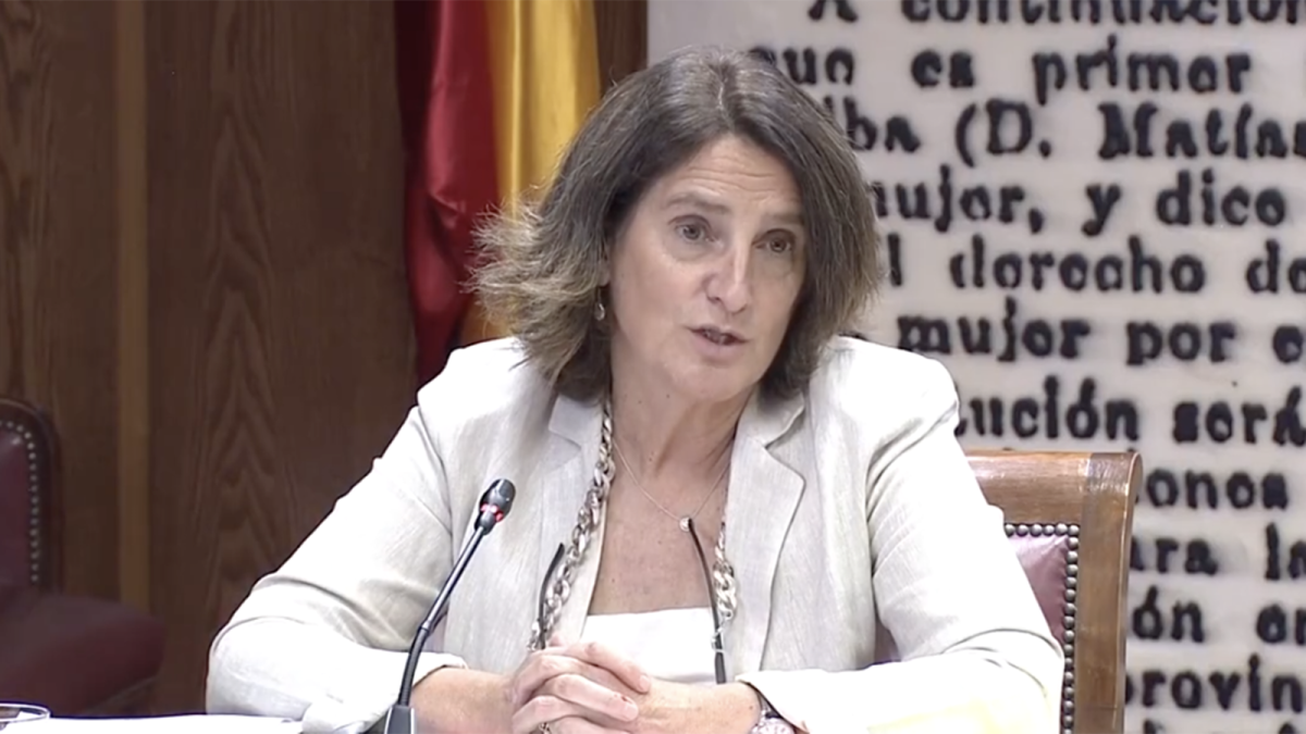 Ribera asegura que su relación con la trama de hidrocarburos fue "igual a cero"