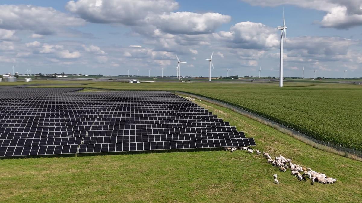Acciona Energía pagará el 19 de junio un dividendo de 0,4402 euros brutos por acción