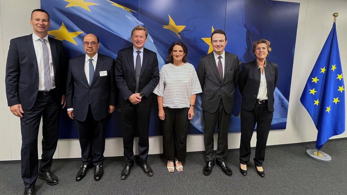 Ribera recibe a los CEOs del consorcio del corredor europeo H2med para conocer los avances del proyecto