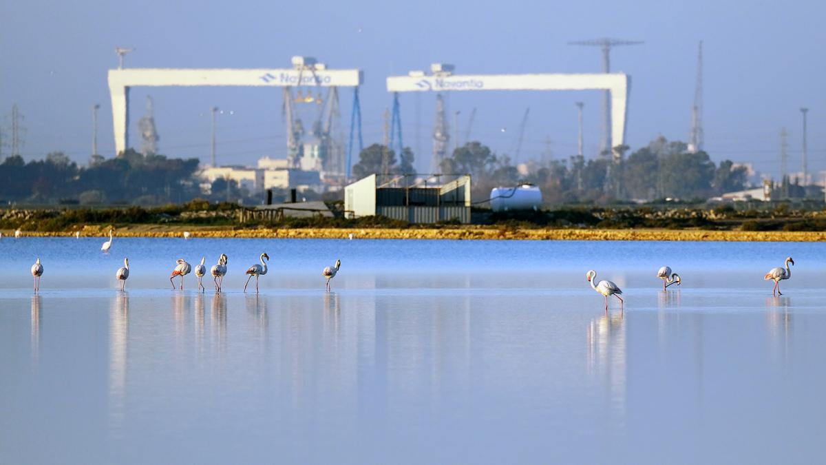 Navantia reduce un 41,17 % su huella de carbono