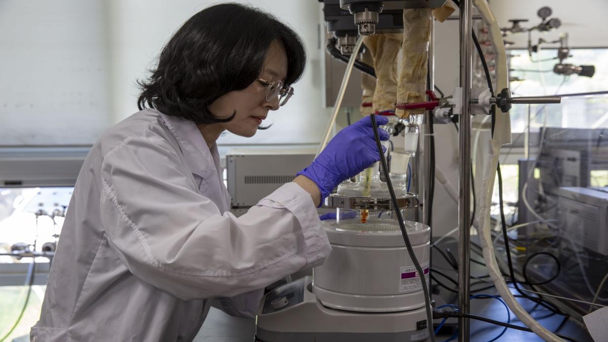 Científicos coreanos desarrollan un nuevo catalizador para la producción eficiente de hidrógeno a partir de amoníaco