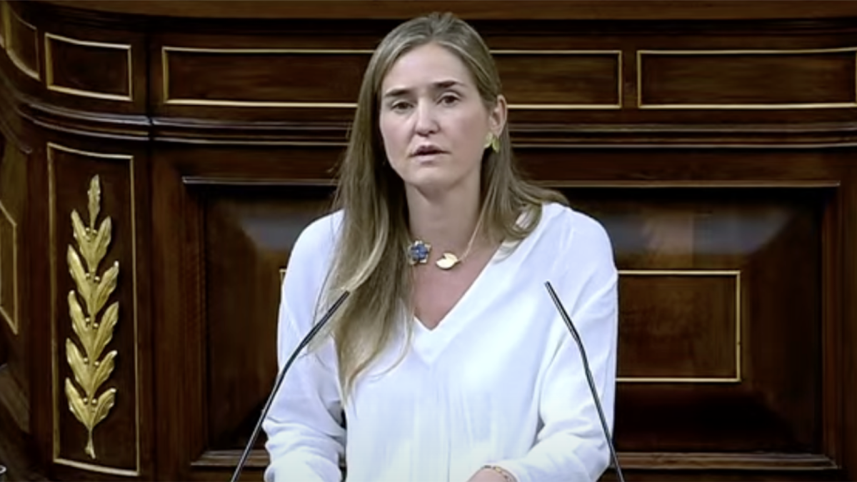 Aagesen apela a la responsabilidad del PP y Podemos para aprobar el decreto 'antiapagones'