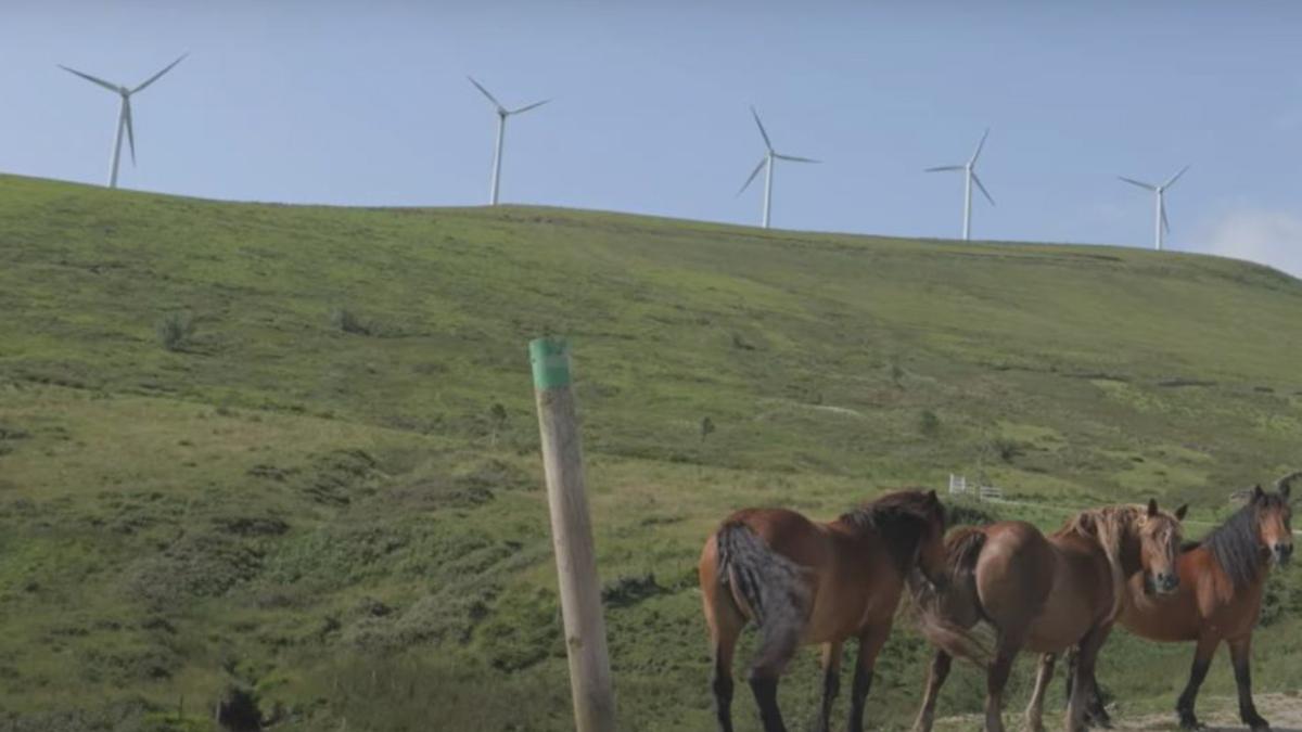 El municipio cántabro de Soba, ganador del Premio EOLO Integración Rural 2025