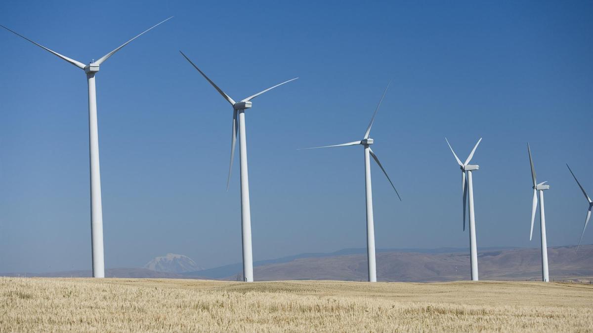 Iberdrola acuerda un proyecto de repotenciación de 119 MW para apoyar operaciones de Google en Oregón (EEUU)