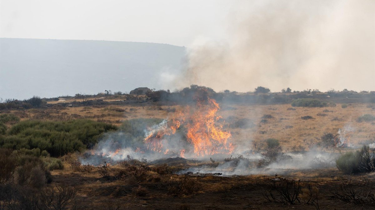 Desmintiendo bulos: los incendios no allanan el camino a las renovables