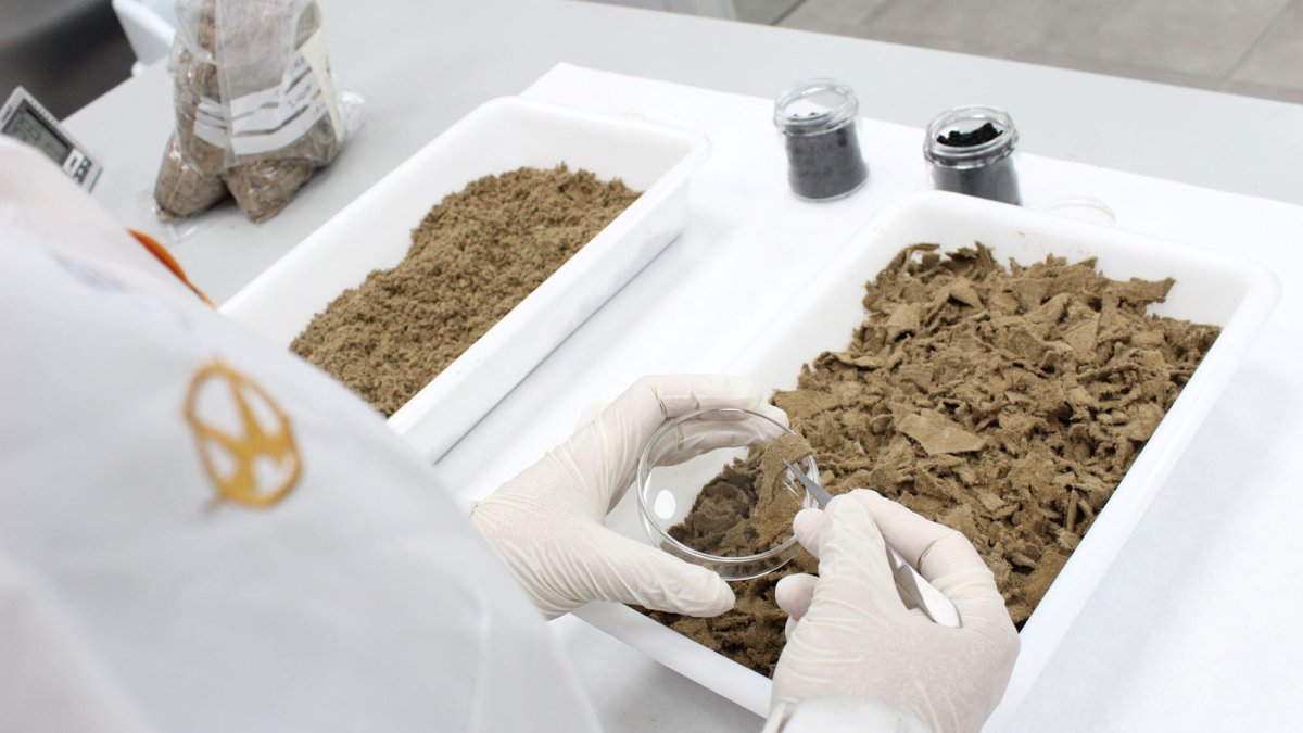 ITE apuesta por la innovación ambiental para convertir residuos de cuero en materiales con valor añadido y energía.