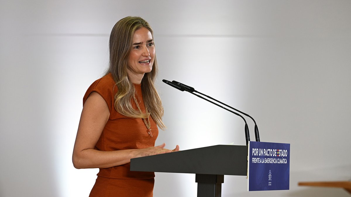 La ministra para la Transición Ecológica y el Reto Demográfico, Sara Aagesen.