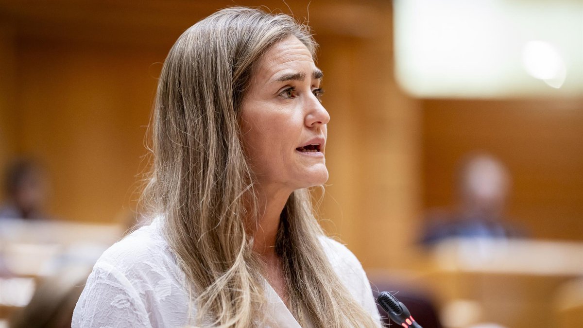 Aagesen defiende la planificación eléctrica a 2030 como "un proyecto país" que apuesta por la industria