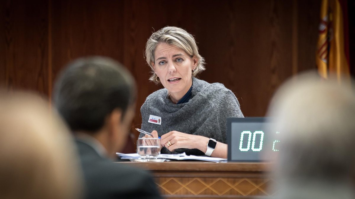 Las eléctricas insisten en señalar a REE como "único responsable" del apagón por su falta de previsión