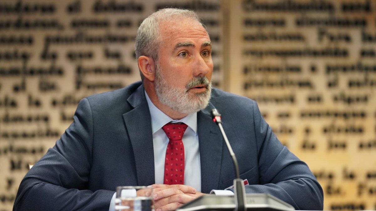 Fernández Ordóñez: “La culpa del apagón no es de las renovables, sino de la falta de adaptación de la red”