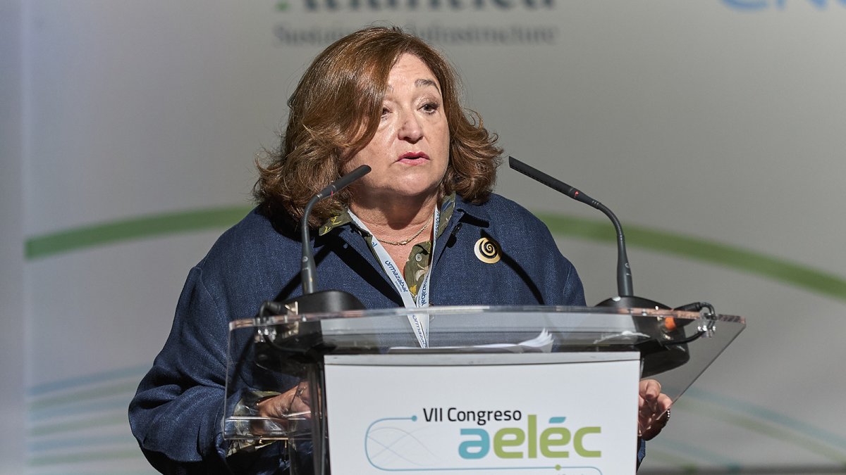 Las eléctricas piden invertir en redes por un posible aumento de la demanda de hasta el 54% en 2030