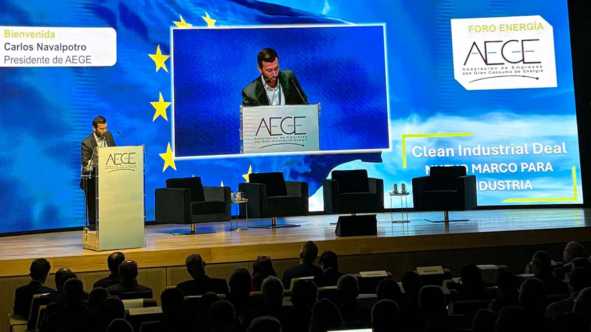 La industria electrointensiva reclama una menor fiscalidad y pagar menos peajes eléctricos para ser más competitivos