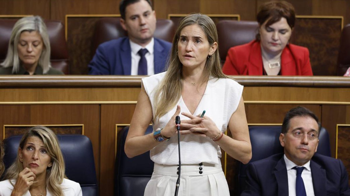 El Gobierno incluye las baterías aplicadas al autoconsumo a su tratamiento económico general