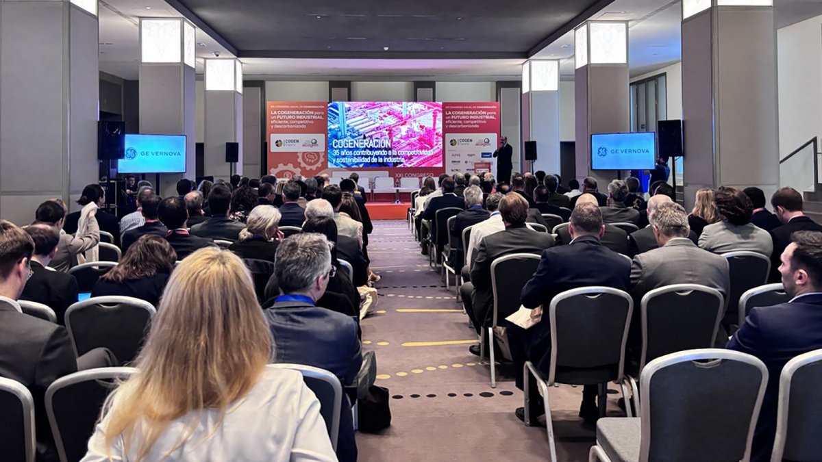 El Gobierno espera que las subastas de cogeneración lleguen en el primer semestre de 2026