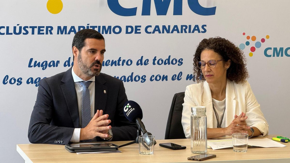 Canarias reclama una subasta propia de energía eólica marina