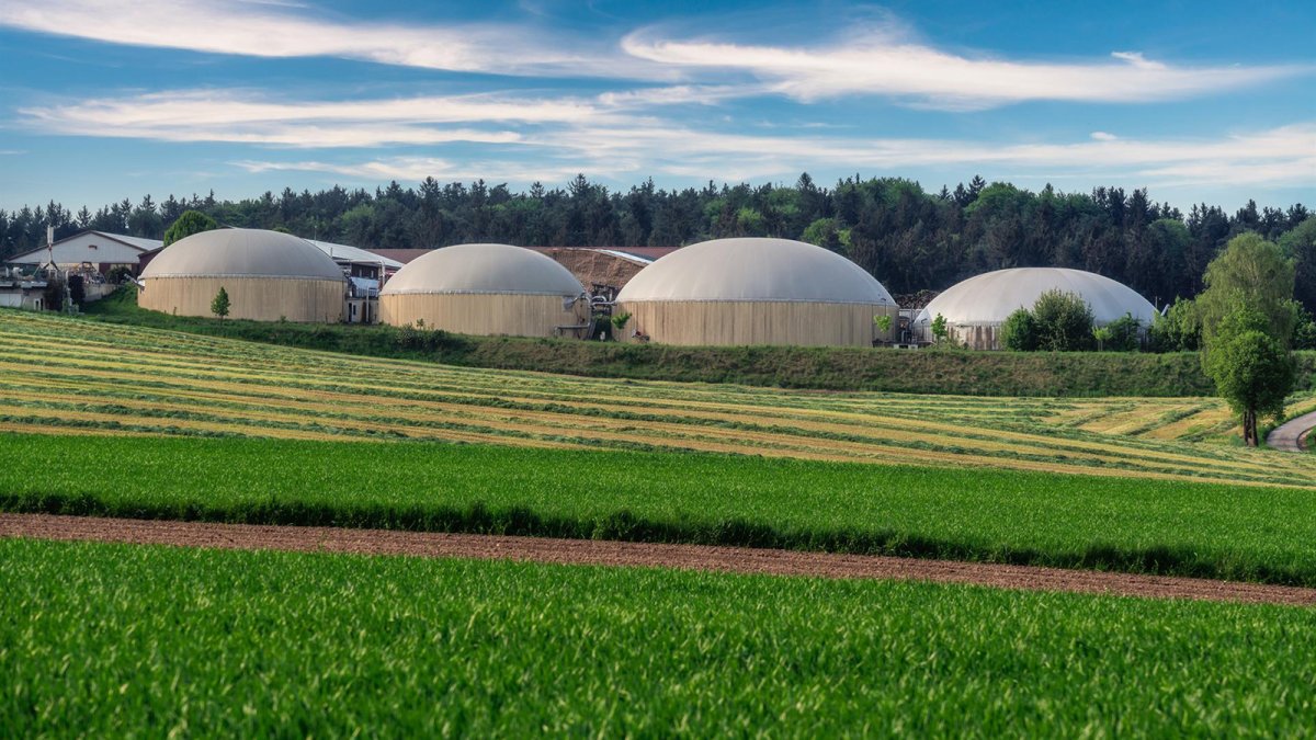 España se suma a la ola de los gases renovables