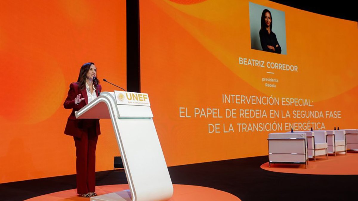 Corredor (Red Eléctrica) estima el coste de la operación del sistema en modo reforzado en 371 millones