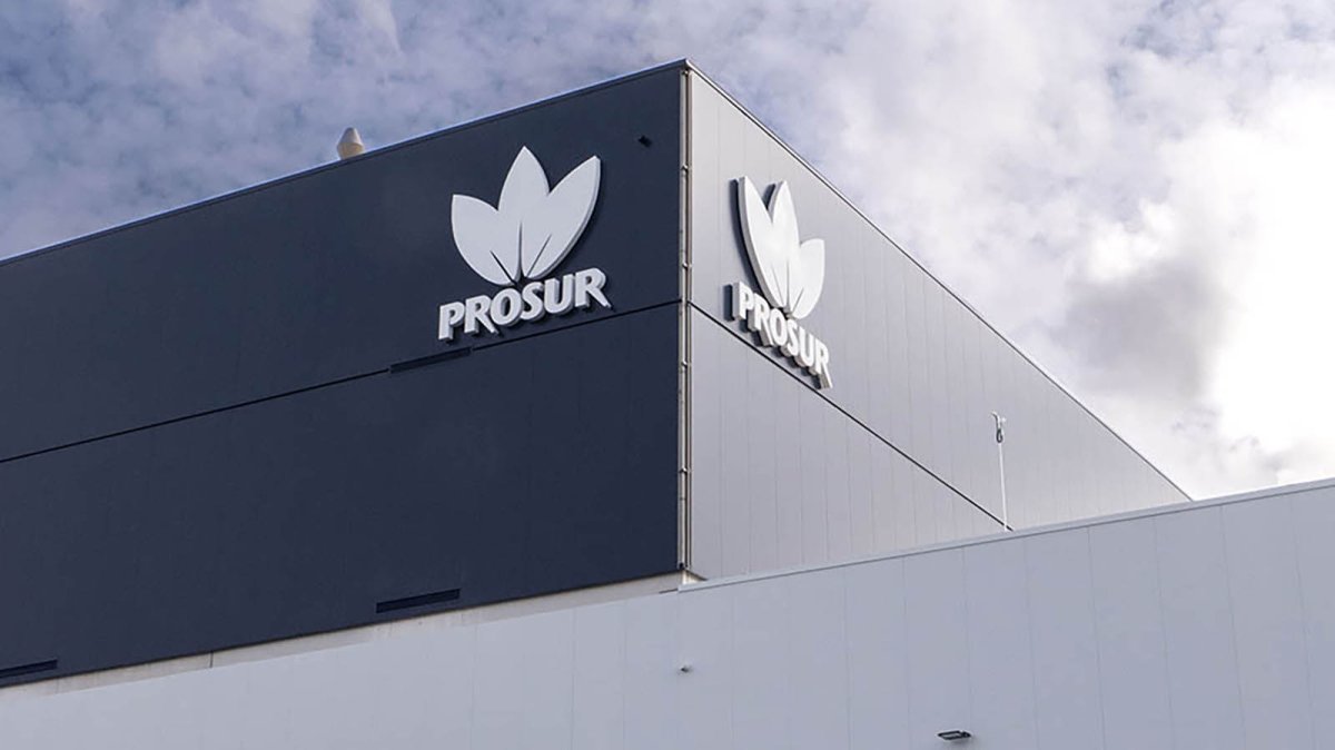 Nueva planta de Prosur.
