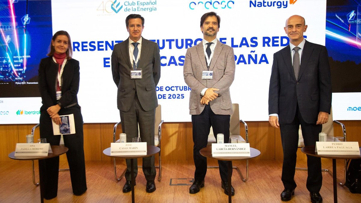 Naturgy y Endesa piden una regulación que "acompañe y dé las señales adecuadas" para incentivar las redes