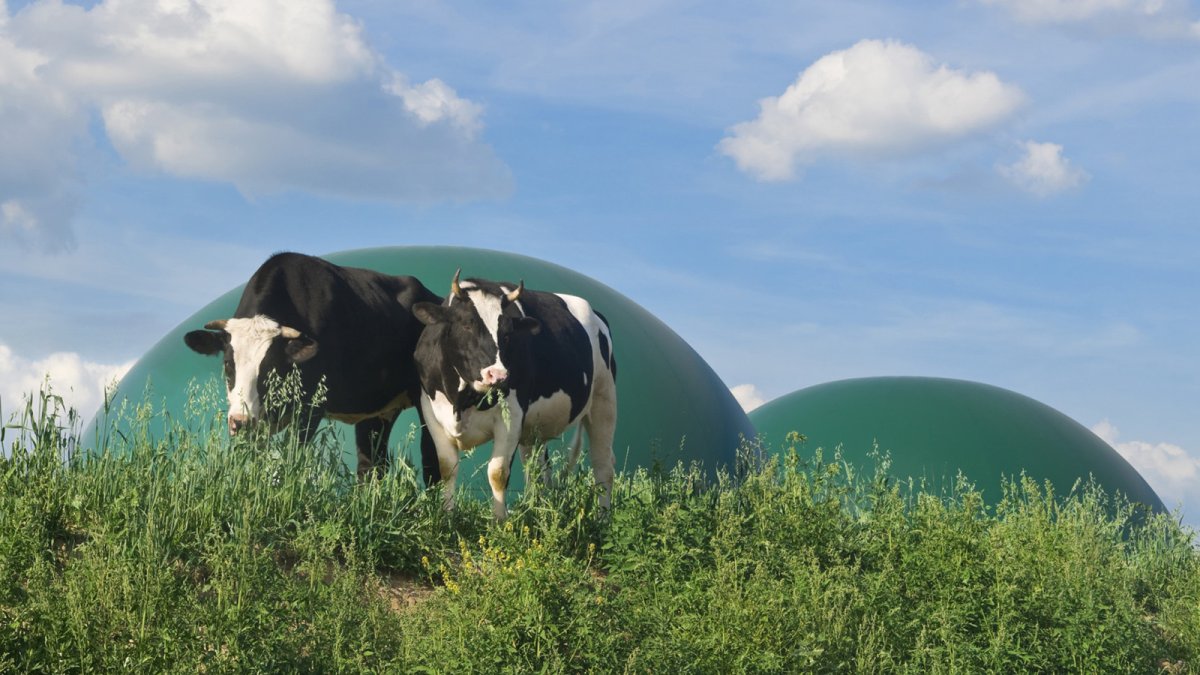 El IDAE y AEBIG elaboran la Guía de Buenas Prácticas para la Implantación de Proyectos de Biogás y Biometano