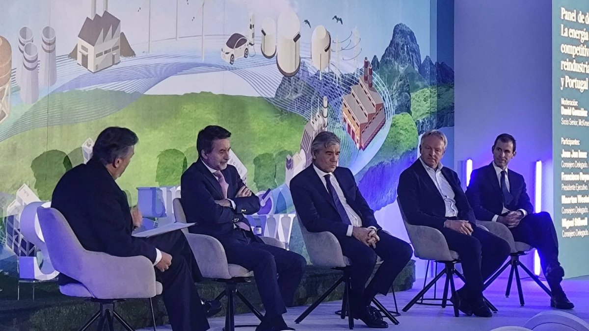 Las energéticas piden una "buena colaboración público-privada" para abordar inversiones para la transición