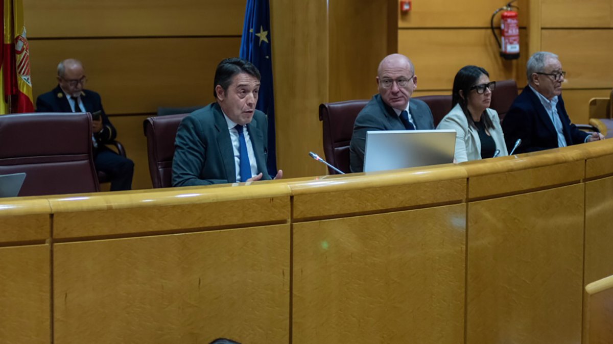 El exdirectivo y exconsejero de Red Eléctrica, Francisco Ruiz Jiménez.