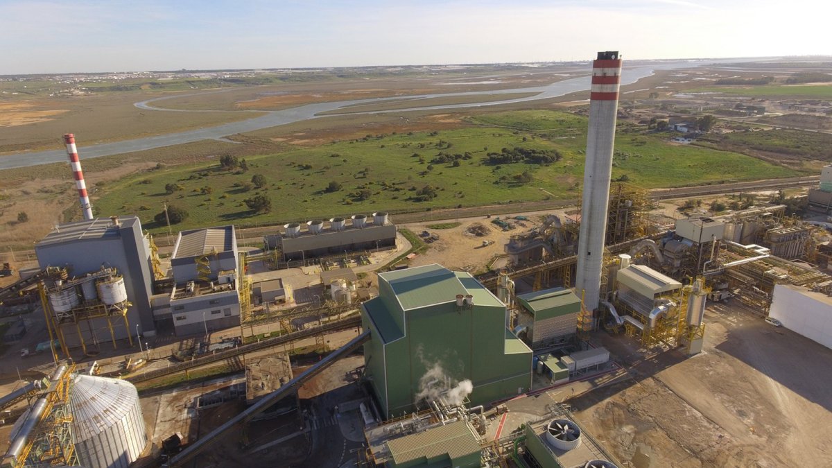 Ence pierde 22 millones hasta septiembre frente a beneficios de un año antes, lastrada por el precio celulosa