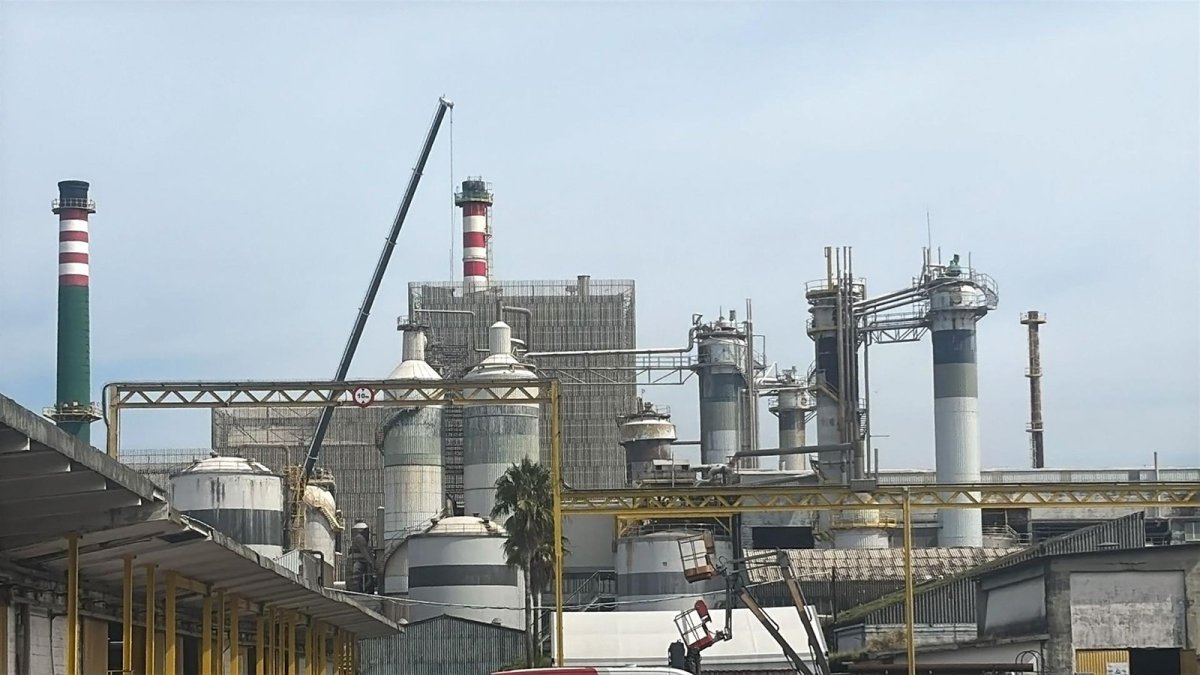 El comité de la fábrica de Ence en Pontevedra cifra en el 100% el seguimiento de la cuarta jornada de huelga