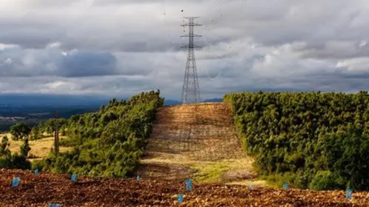 El consumo eléctrico en Portugal creció el 2,5% interanual hasta octubre