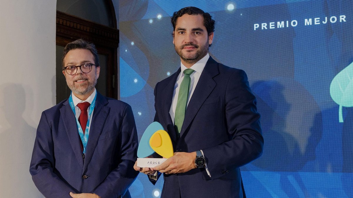 El director de Compras y Servicios Globales de Iberdrola, José Ignacio Sánchez-Galán García-Tabernero, recibe el premio AERCE al Mejor Proyecto de Digitalización en Compras.